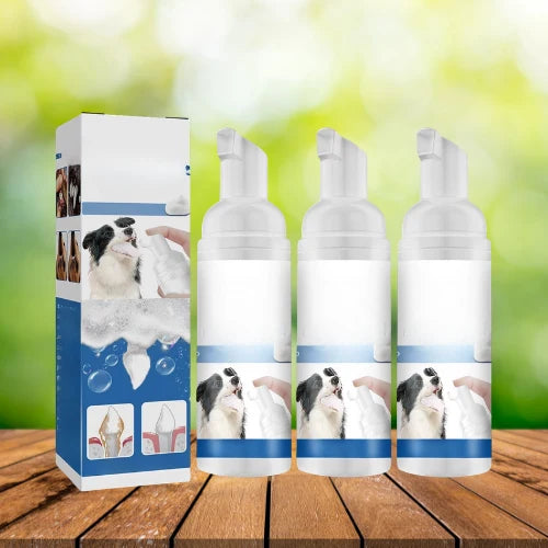 Pawlisse NL